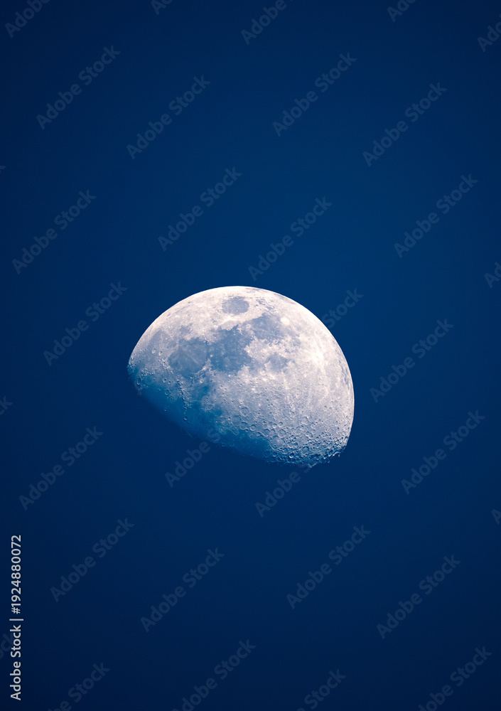 Obraz premium moon