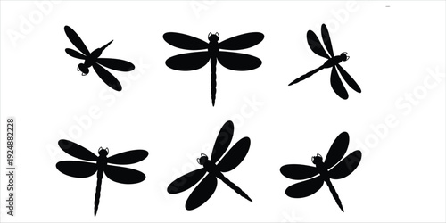 Six black silhouette dragonflies in various poses on a white background Keywords: dragonfly, silhouette, insect, flying, wings