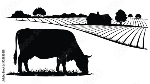 Grazing cow on farm field with barn and trees in background agriculture and livestock