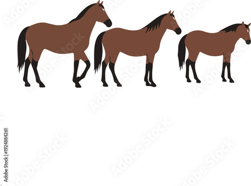 Three Brown Horses In A Row Minimalist Flat Illustration