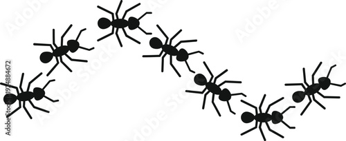 Black ants forming a serpentine line, representing teamwork and cooperation