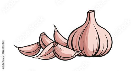 Fresh pink garlic bulb with separated cloves on white background cooking ingredient