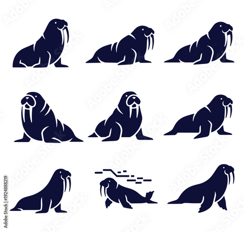 Collection of walrus silhouettes in various poses on white background