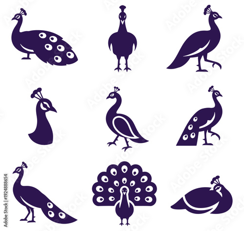 Purple peacock silhouettes in various poses and plumage displays on white background