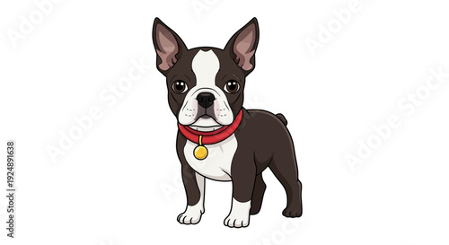 Cute Boston Terrier Puppy Dog Wearing Red Collar, Adorable Pet Portrait