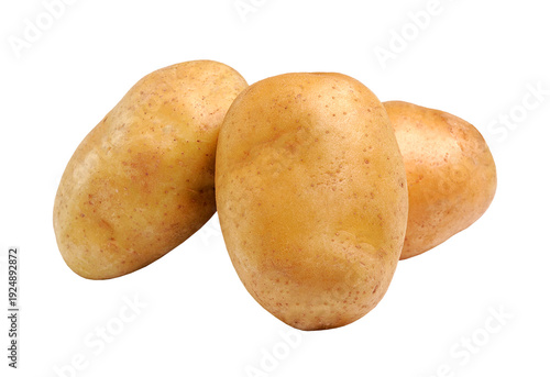 Fotografija Freshly harvested organic baby potatoes displayed against a plain background iso
