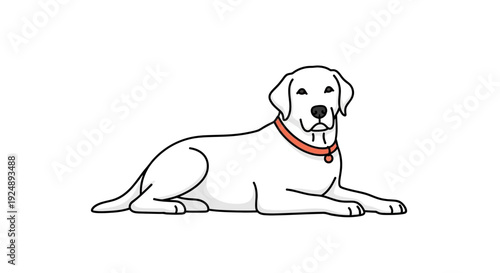 White Labrador Retriever Dog Lying Down with Collar, Simple Illustration