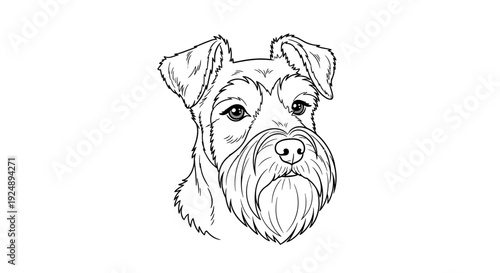 Schnauzer Dog Portrait, Black and White Line Art, Cute Pet Face, Hand Drawn Sketch