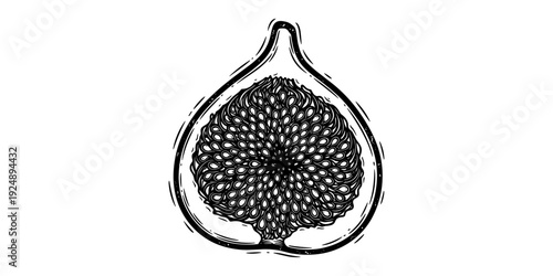 Intricate black and white fig slice art with detailed linework