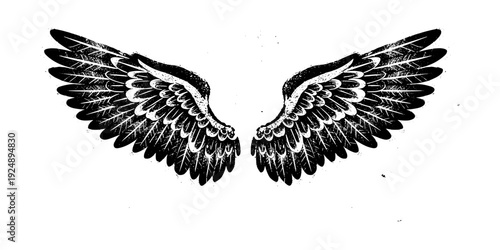 Vintage grunge angel wings with detailed black feathers on white background