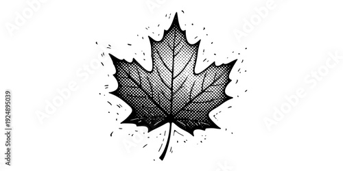 Detailed hand drawn maple leaf with halftone texture on white background