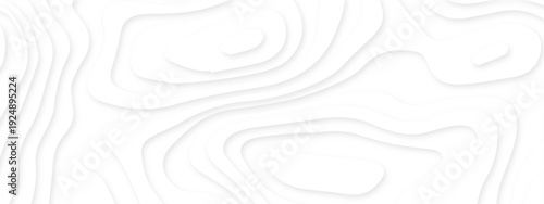 Dynamic topographic design elements forming soft flowing contours. white paper cut abstract layers. contemporary abstract shapes forming seamless layered topographic designs.