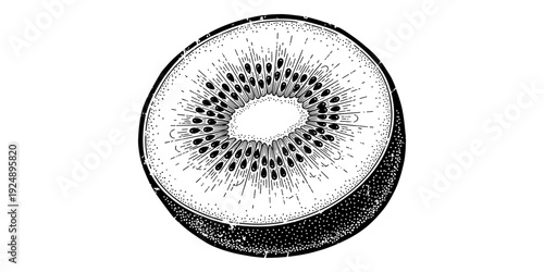 Detailed black and white engraved kiwi slice drawing
