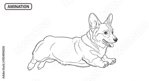 Pembroke Welsh Corgi Dog Line Art Drawing, Running, Playful, Cute, Isolated