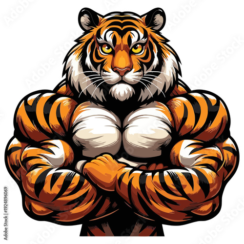 tiger on white background