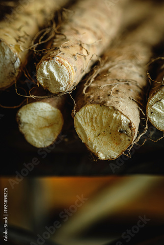 Konstfotografi Fresh Yam Roots with Soil and Rootlets