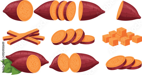 Set of fresh sweet potato vegetable illustrations featuring whole tubers, round slices, chopped cubes, and long fries isolated on white background