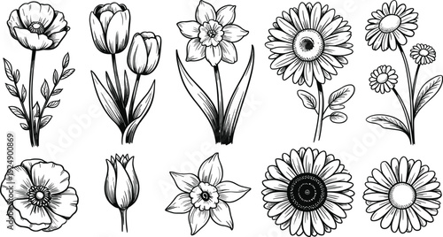 Hand Drawn Black and White Illustrations of Various Spring Flowers and Leaves floral bloom