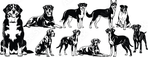 Silhouette collection of diverse dog breeds in various poses, showcasing realistic shading and fur texture for artistic and educational use