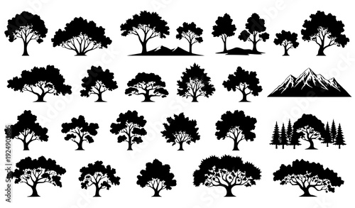 Educational Tree Silhouette Set Different Natural Zones Black Vector Illustration