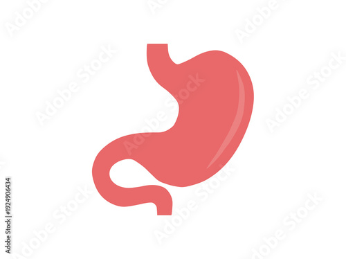 Hand Drawn Human Normal Stomach