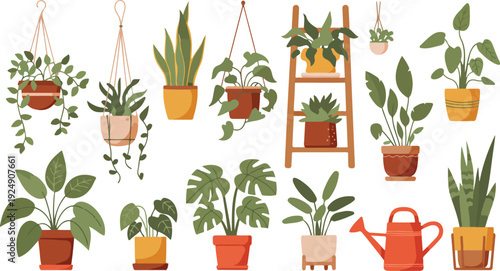 Collection of colorful houseplants in pots and hanging baskets, urban jungle home decor set