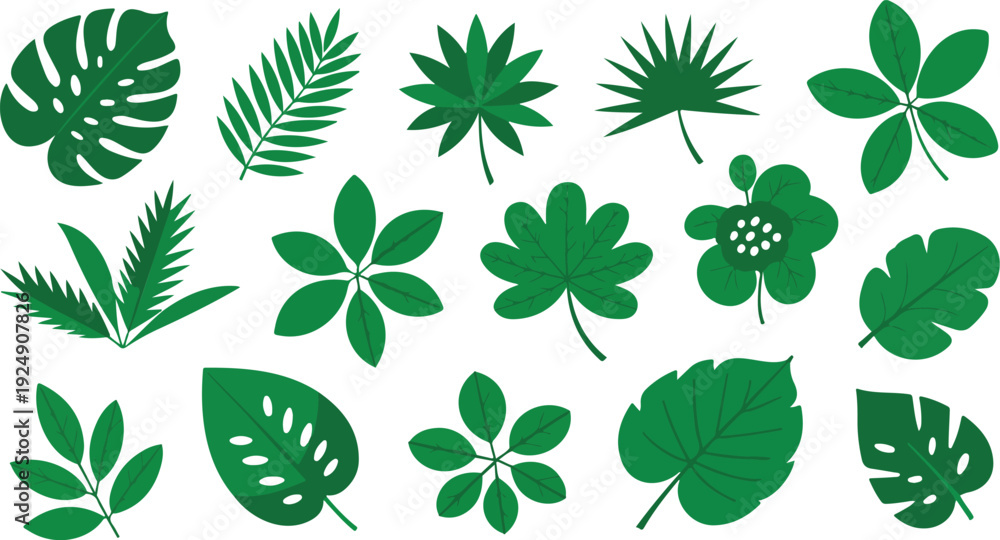 Naklejka premium Assortment of tropical leaves, jungle foliage, botanical elements, exotic plant patterns