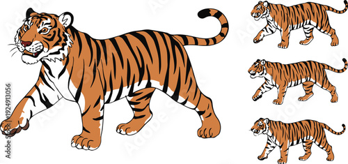 Majestic Tiger Vector Icon Set  Walking, Standing & Prowling Poses