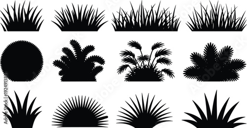 Grass and bush silhouette set with decorative garden plants and tropical foliage isolated on white background for landscape and nature design