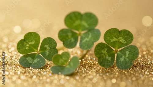 Obraz na płótnie Four-Leaf Clover with Dew Drops in Sunlight 