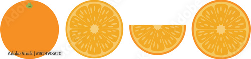 Fresh Orange Fruit Vector Set Showing Whole Orange, Round Slices and Half Slice Isolated on White Background