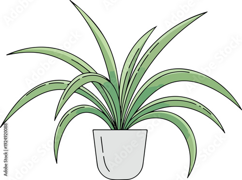 Green plant in a pot indoors.