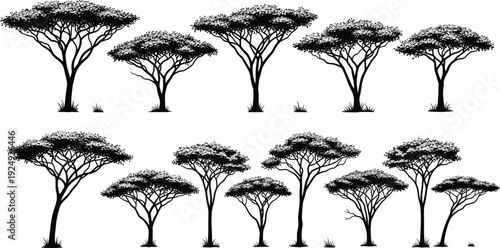 African acacia tree silhouettes set, savanna landscape collection, flat vector illustration, isolated black trees, nature clipart, botanical design element pack