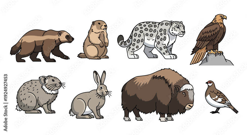 Fototapeta premium Diverse Arctic and mountain wild animals collection.