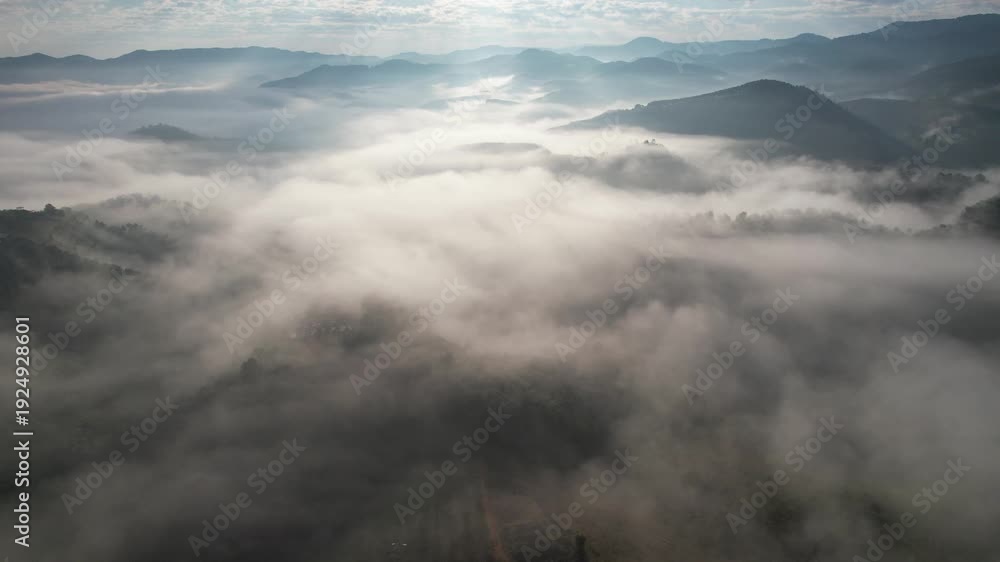 Aerial view of mountains and forest with the sea of fog before sunrise ...