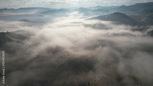 Aerial view of mountains and forest with the sea of fog before sunrise by drone