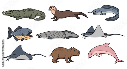 Collection of various aquatic and river animals in illustration