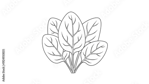 Detailed illustration of green leaves.