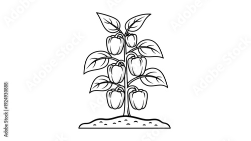 Drawing of apples on tree branch.