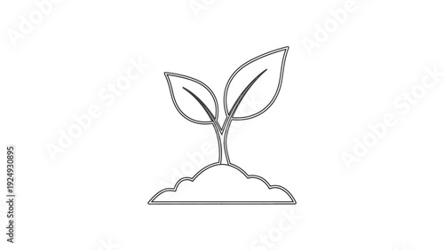 Small plant growing in soil mound.