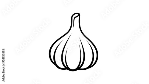 Black and white garlic bulb drawing.
