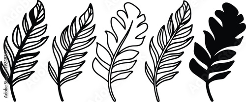 Black botanical leaf silhouettes of fern fronds and feathers for modern organic branding and graphic design