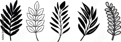 Collection of diverse leaf outlines and silhouettes for tropical summer themes and sustainable logo design