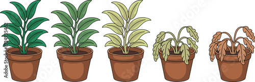 Illustration of potted plant health stages from vibrant green leaves to wilted brown deterioration, symbolizing growth, decline, environment, and gardening education themes
