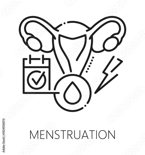 Menstruation cycle gynecology, reproductive health line icon. Pregnancy and fertility thin line sign, urinary healthcare vector icon. Gynecology and woman health pictogram with uterus and calendar