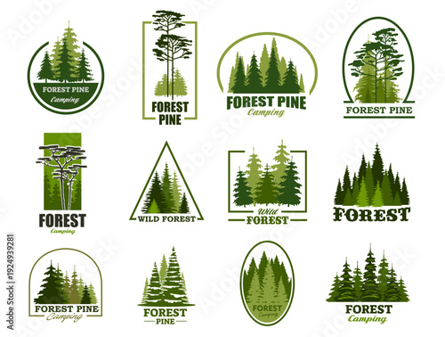 Pine tree silhouette icons, forest park and outdoor camp symbols. Vector evergreen woods of pine, fir, cedar or spruce, cypress or hemlock in minimalist line frames. Coniferous forest green icons set