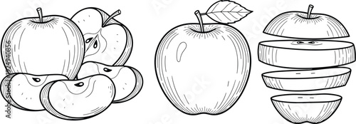 Hand drawn apple illustration, sliced and whole fruit sketch, healthy food concept, minimal line art design for packaging and education