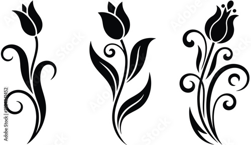 Elegant black and white floral designs with swirling vines and tulips isolated on white background, Vector, illustration