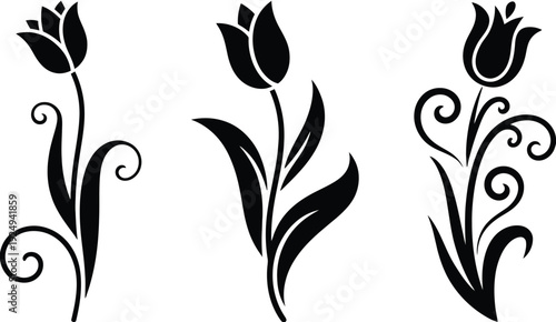 Elegant black and white floral designs with swirling vines and tulips isolated on white background, Vector, illustration