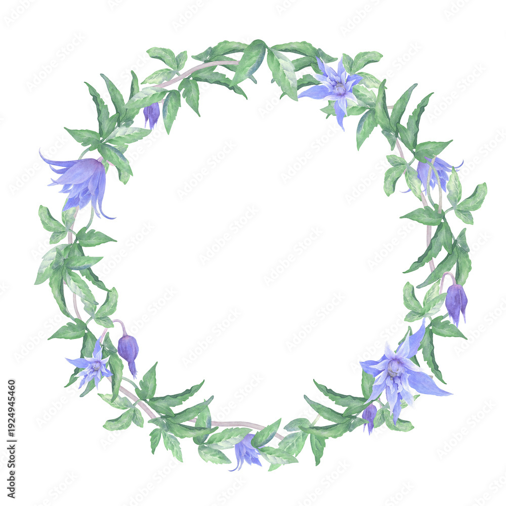 Obraz premium A chaplet of clematis flowers. Hand-painted watercolor illustration, isolated on a white background. Delicate purple flowers, buds with green leaves, are gracefully intertwined. Suitable for printing